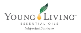 YL Logo-transparent background copy